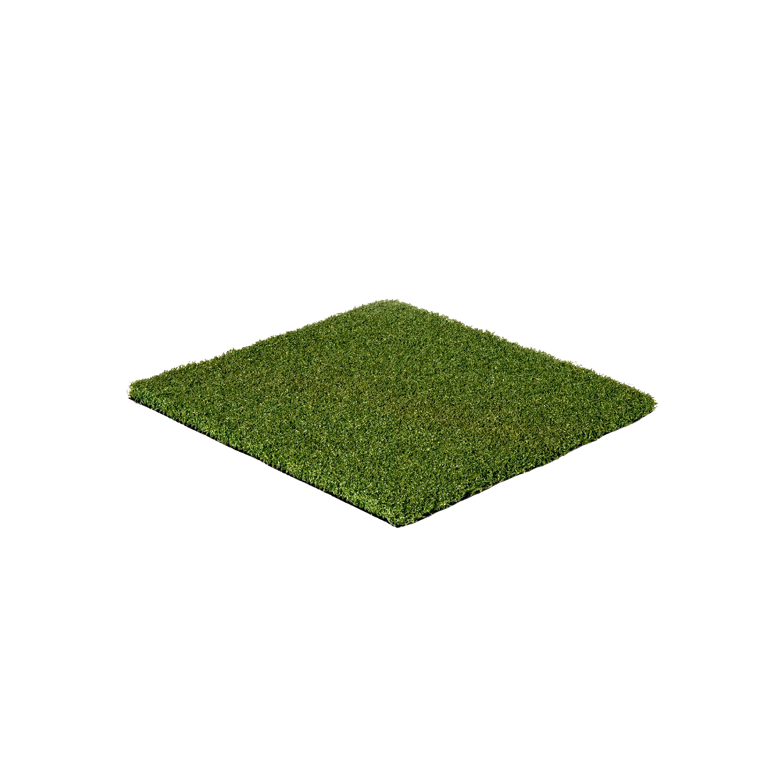 Pro Putt Elite