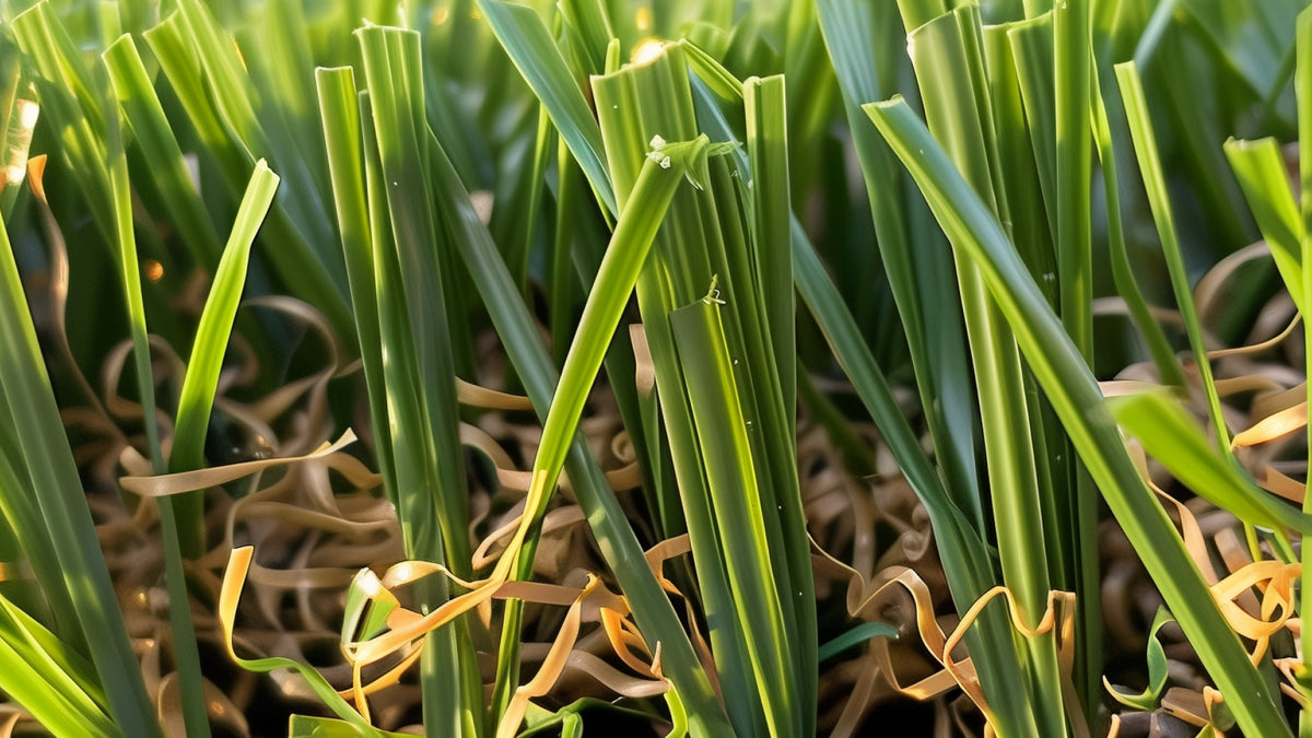 Premium Synthetic Turf Solutions | Turf Kings
